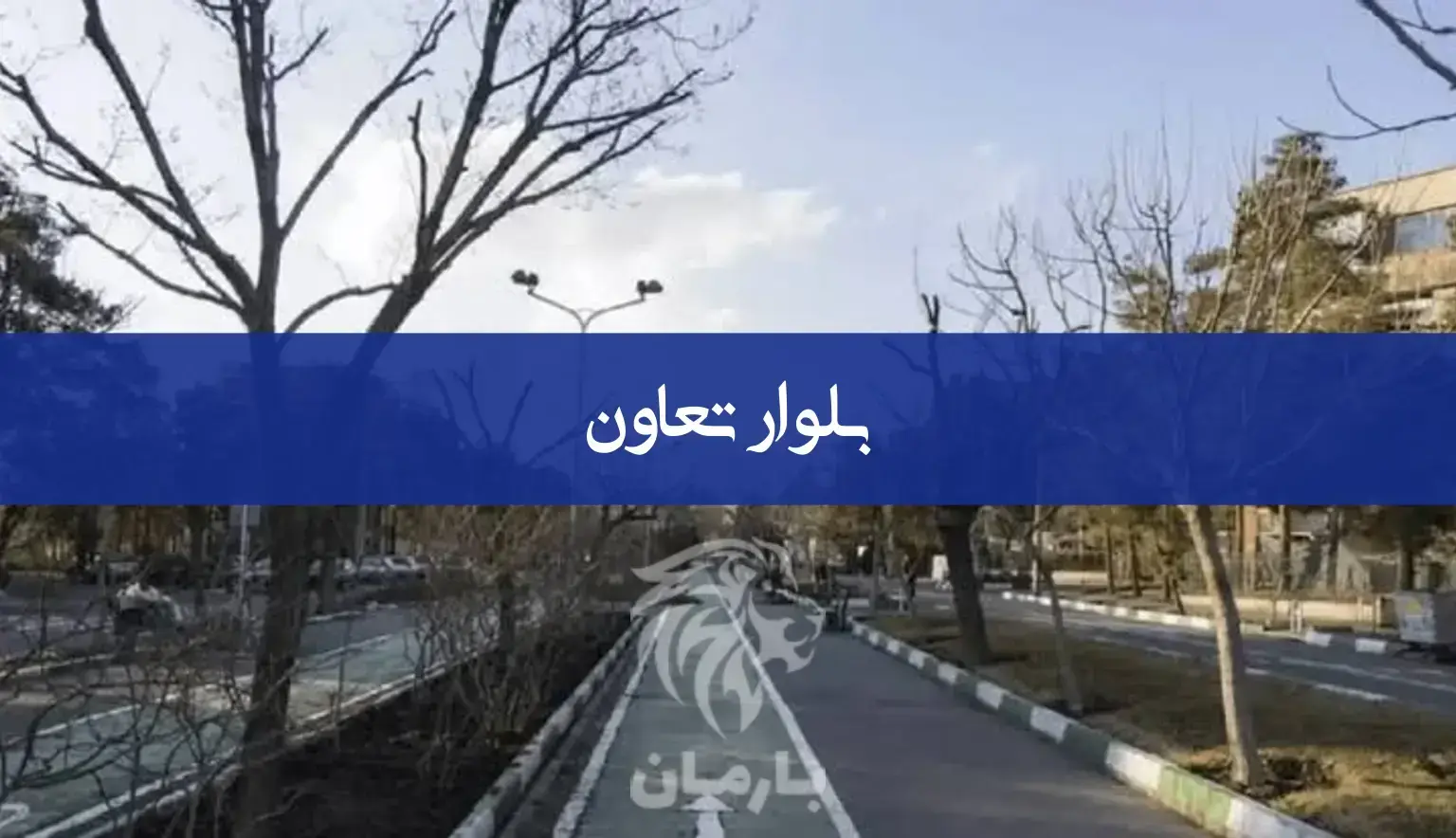 بلوار تعاون تهران