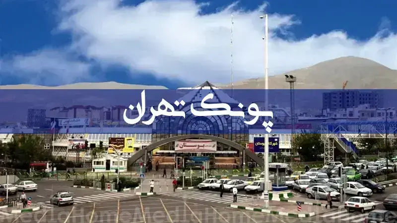 پونک پونک