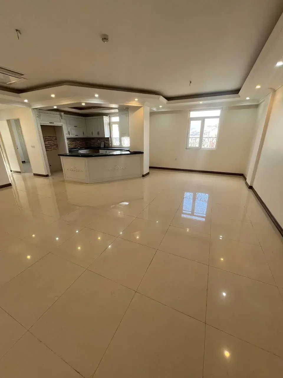 پروژه آریانا پالاس