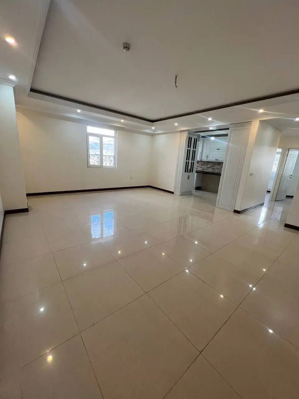 پروژه آریانا پالاس